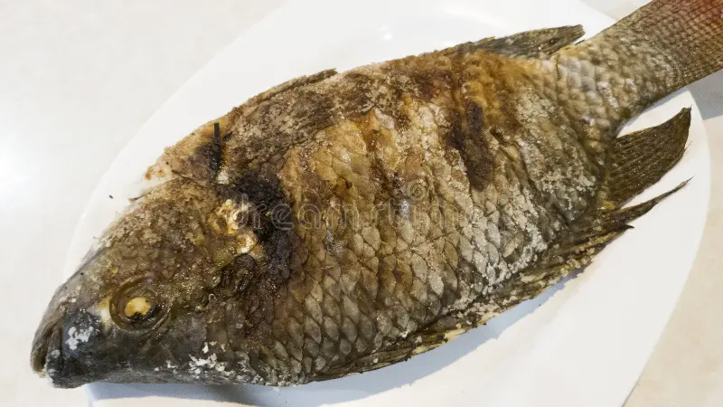Fish Burn